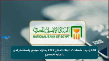 800 جنيه.. شهادات البنك الأهلي 2025 بعائد مرتفع واستثمار آمن بالجنيه المصري